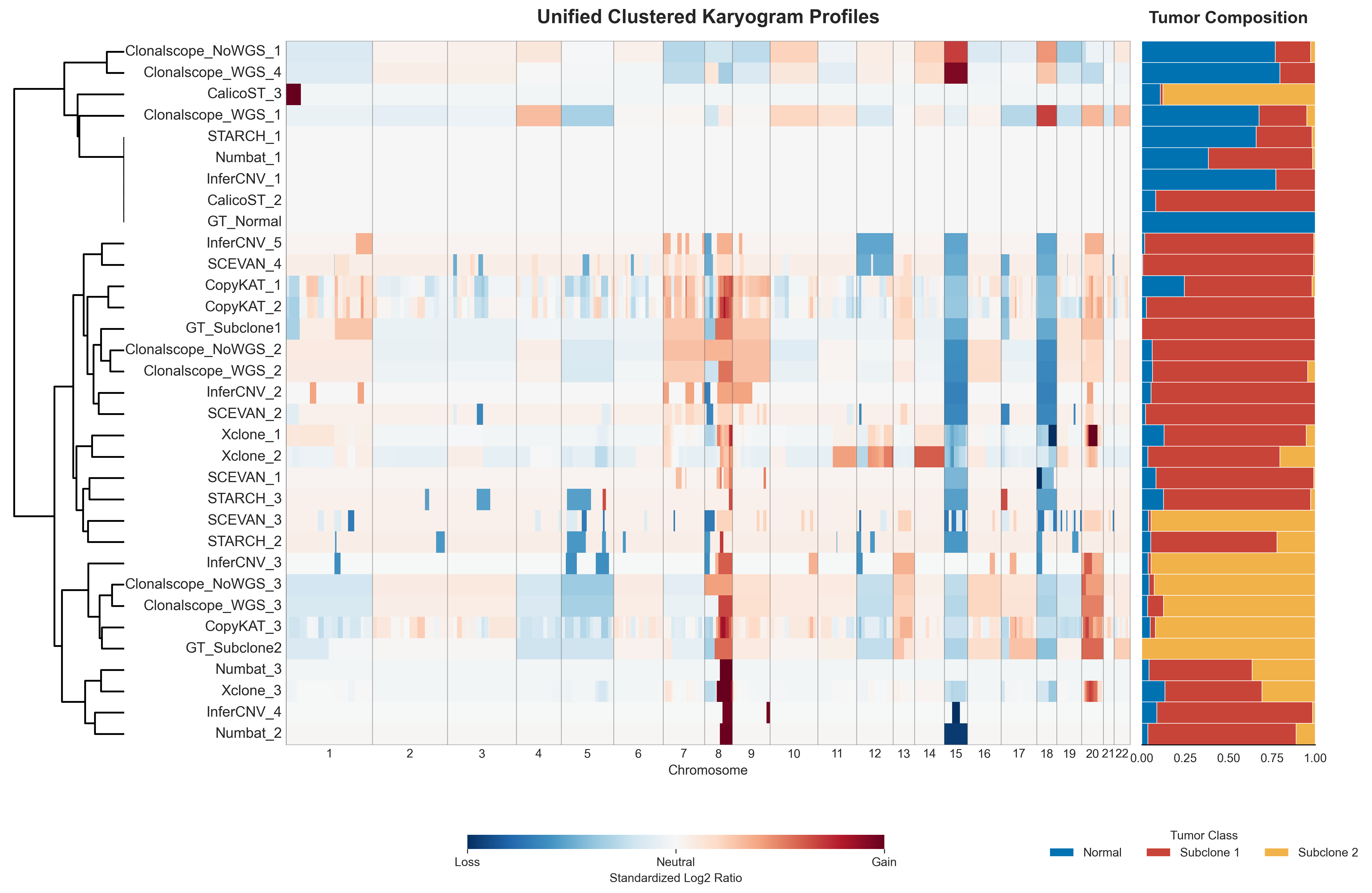 Clustered clonal CNV profile karyogram across methods
